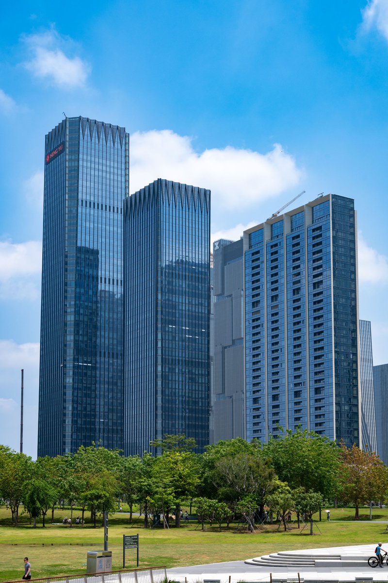 绽放的城市