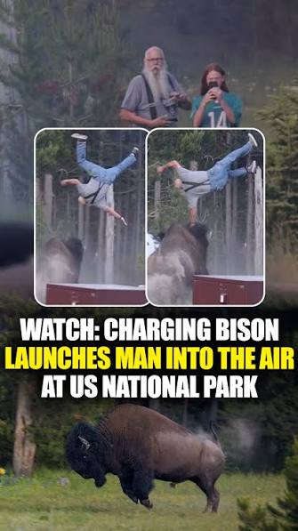 Bison Man Character Sheet